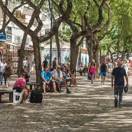 アパート Summersalt - Old Town *