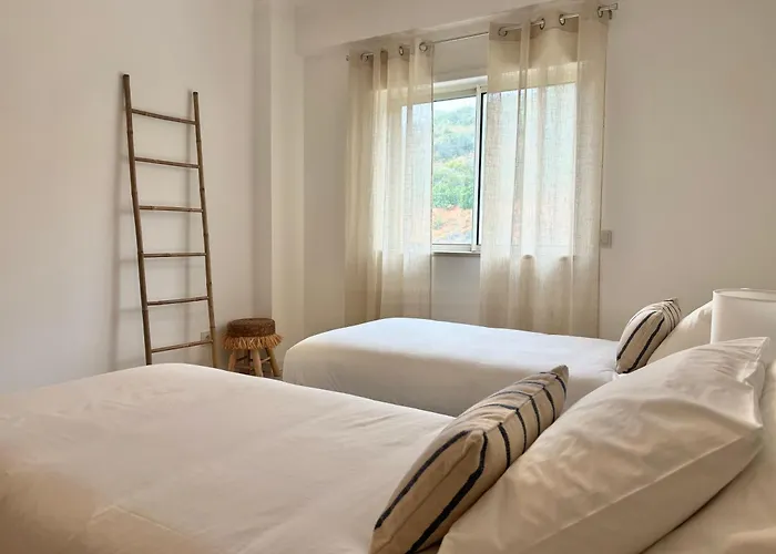 Summersalt - Old Town